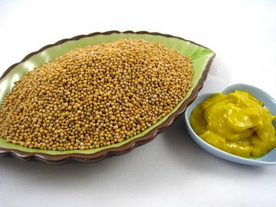 Image : Moutarde - Graines de moutarde et moutarde