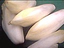Endives