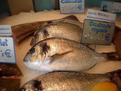 Image : Poisson - La daurade (poisson)