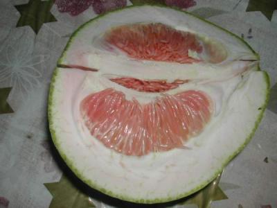Image : Pomélo, Pamplemousse - pamplemousse