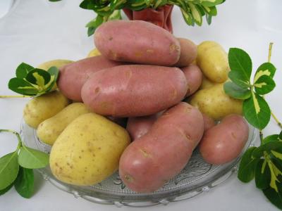 Pommes de terre