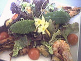 Salade de moules aux primevères