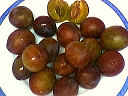 Prunes