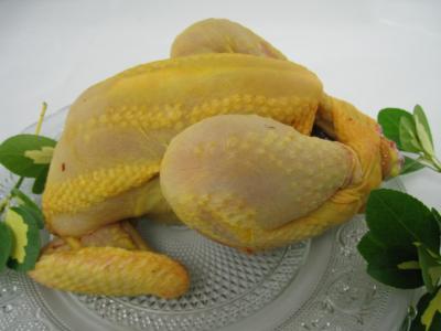 Image : Poulet - Poulet