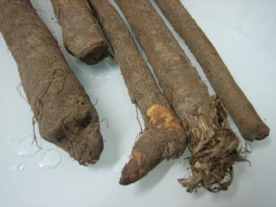 Image : Salsifis et scorsonères - scorsonères ou salsifis