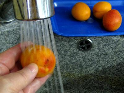 Abricots au fromage blanc et au floc de Gascogne - 1.1
