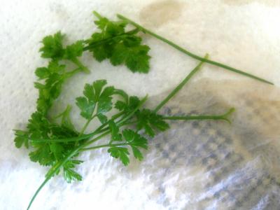 Abattis et pilons en blanquette - 9.2