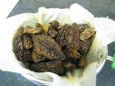 Noix de Saint-Jacques aux morilles et à la purée de marrons - 9.2
