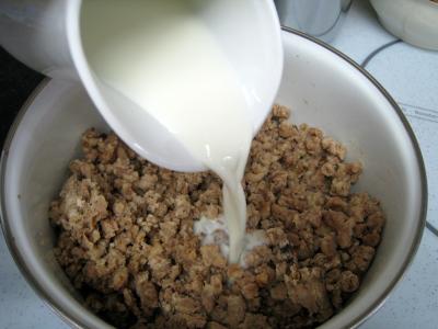 Noix de Saint-Jacques aux morilles et à la purée de marrons - 5.2