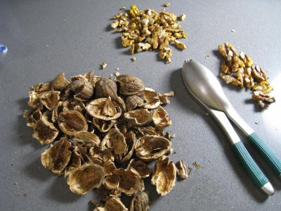 Noix de Saint-Jacques au cidre et aux noix - 5.1