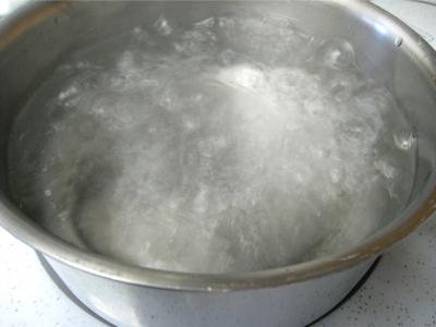 Chapon aux pommes et légumes avec sauce au champagne et armagnac - 11.3