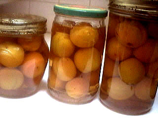 Recette Abricots à l'eau de vie