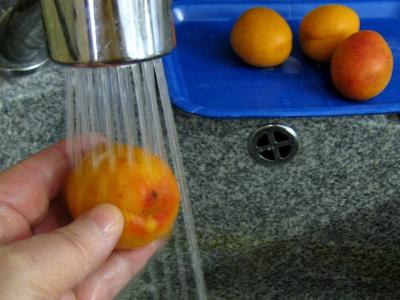 Abricots à l'eau de vie - 1.1