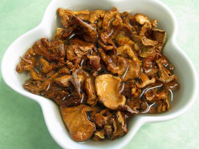 Civet de cerf et sa floraline - 1.1