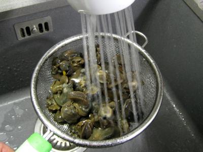 Escargots à l'anis et aux amandes - 3.1