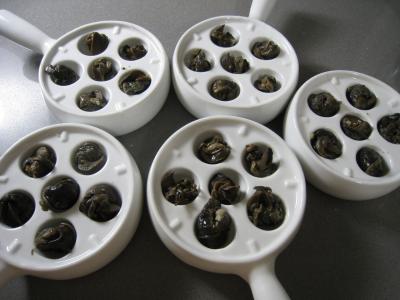 Escargots à l'anis et aux amandes - 3.3