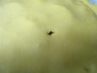 Pithiviers aux pommes - 18.3