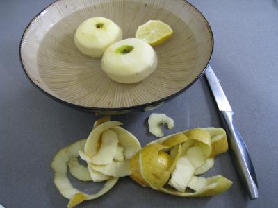 Aiguillettes de canard gras au coulis de pommes - 2.2