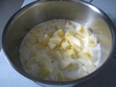 Coulis de pommes - 4.2