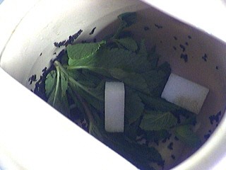 Thé à la menthe - 5.2