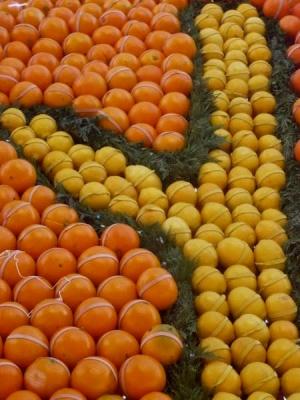 fête du citron