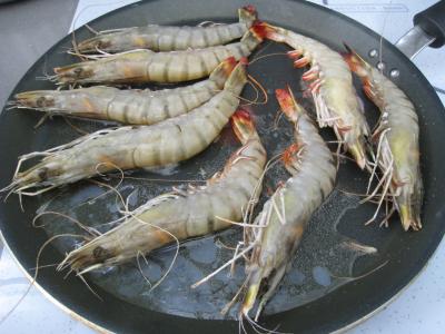 Crevettes flambées et sa sauce au citron et sa purée de fenouil - 9.2