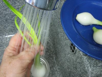 Crème d'asperges aux gésiers confits et magret à la landaise - 1.2