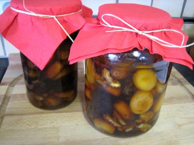 Recette Mendiants au rhum