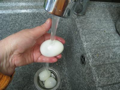 Oeufs durs sauce moutarde - 6.1