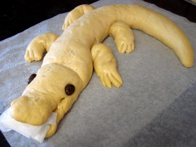Pain crocodile - 11.1