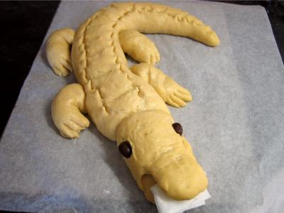 Pain crocodile - 11.2