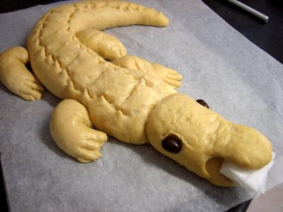 Pain crocodile - 12.1