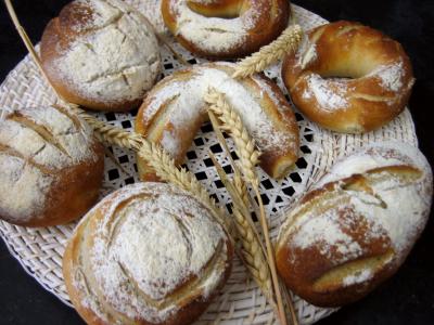 farine type 65 : Petits pains à l'épeautre