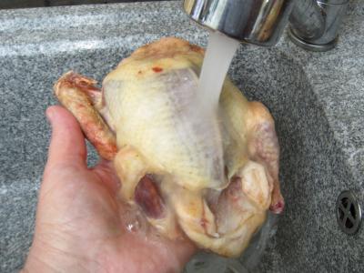 Pot au feu de pigeons - 1.1