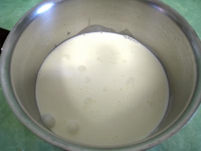 Pouding à la mozzarella et sa sauce aux champignons - 10.1