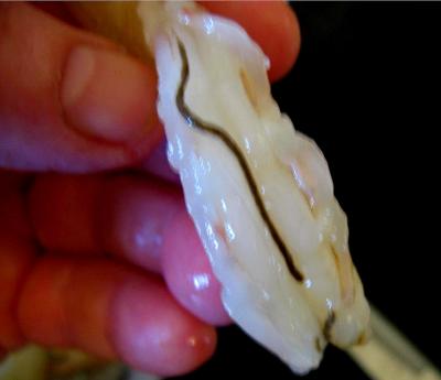 Crevettes à la Réunionnaise - 1.3