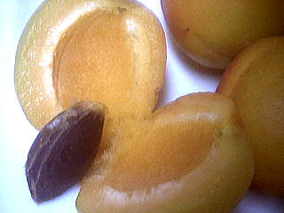 Quatre-quarts aux abricots et aux cerises - 2.4