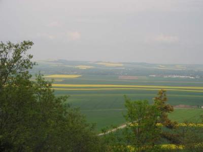 paysage
