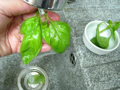 Sauce tomates pour pizza - 6.2