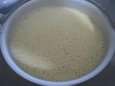 Glace à la vanille pour diabétiques - 6.1