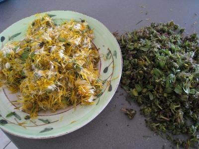 Gelée ou cramaillote de fleurs de pissenlits - 2.1