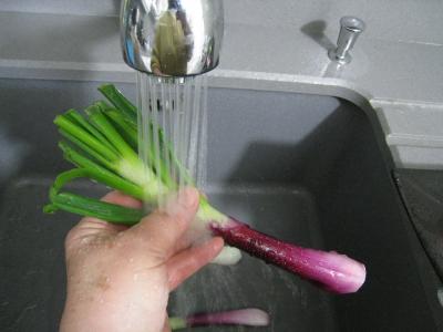 Crème d'ognasses et d'asperges façon landaise - 2.2