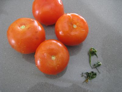 Sauté de carottes et fèves à la semoule - 3.2
