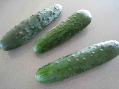 Concombre Noa