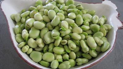 Fèves crèmées aux lardons - 5.3