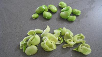 Fèves crèmées aux lardons - 5.2