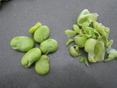 Clafoutis aux fèves et au thon - 3.2
