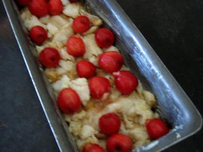 Terrine de saumon aux cerises - 7.2