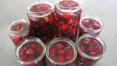 Cerises à l'eau de vie - 4.1