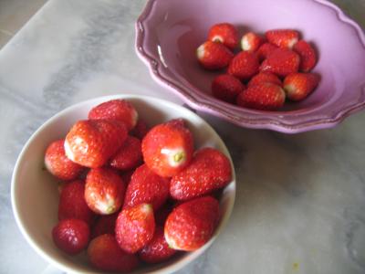 Mousse aux graines de tournesol et son coulis de fraises - 2.1